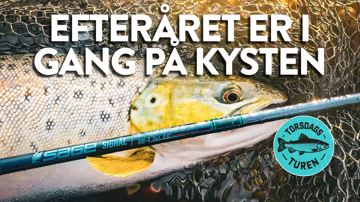 Torsdagsturen på Djursland – havørred i nettet og Sage Signal-fluestang