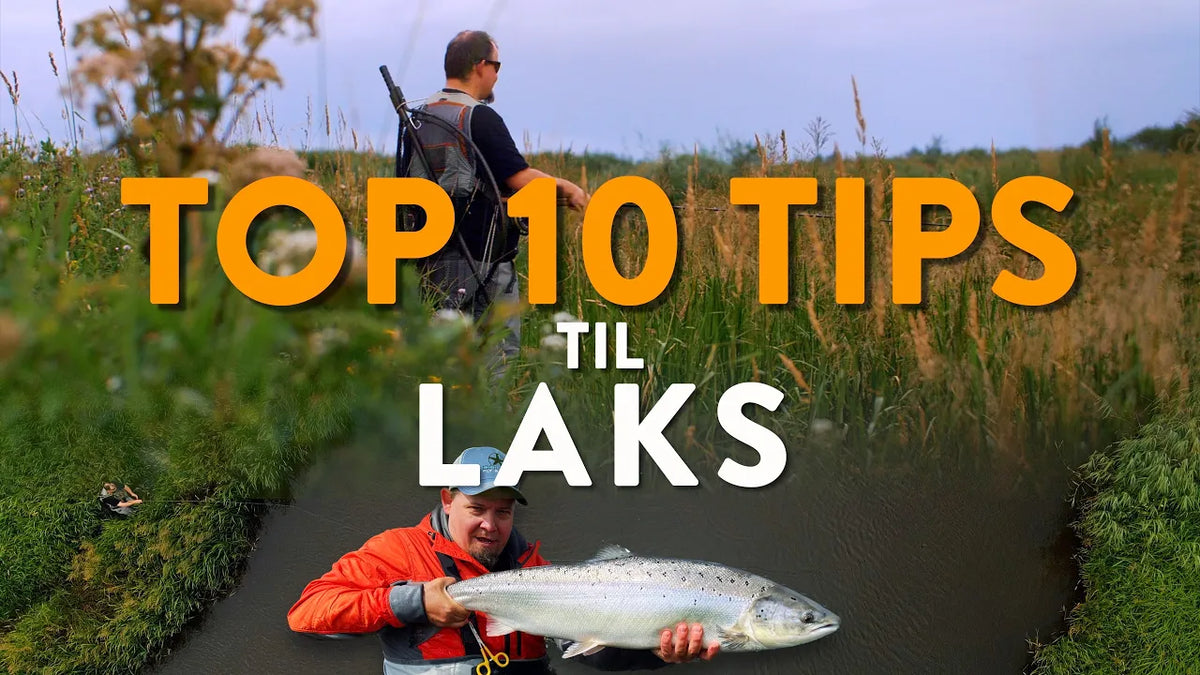 Fiskeguides: Kom godt i gang med laksefiskeri