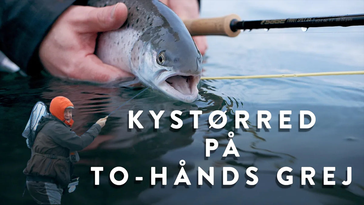 Fisketeknik: Sådan kommer du i gang med let switchfiskeri på kysten