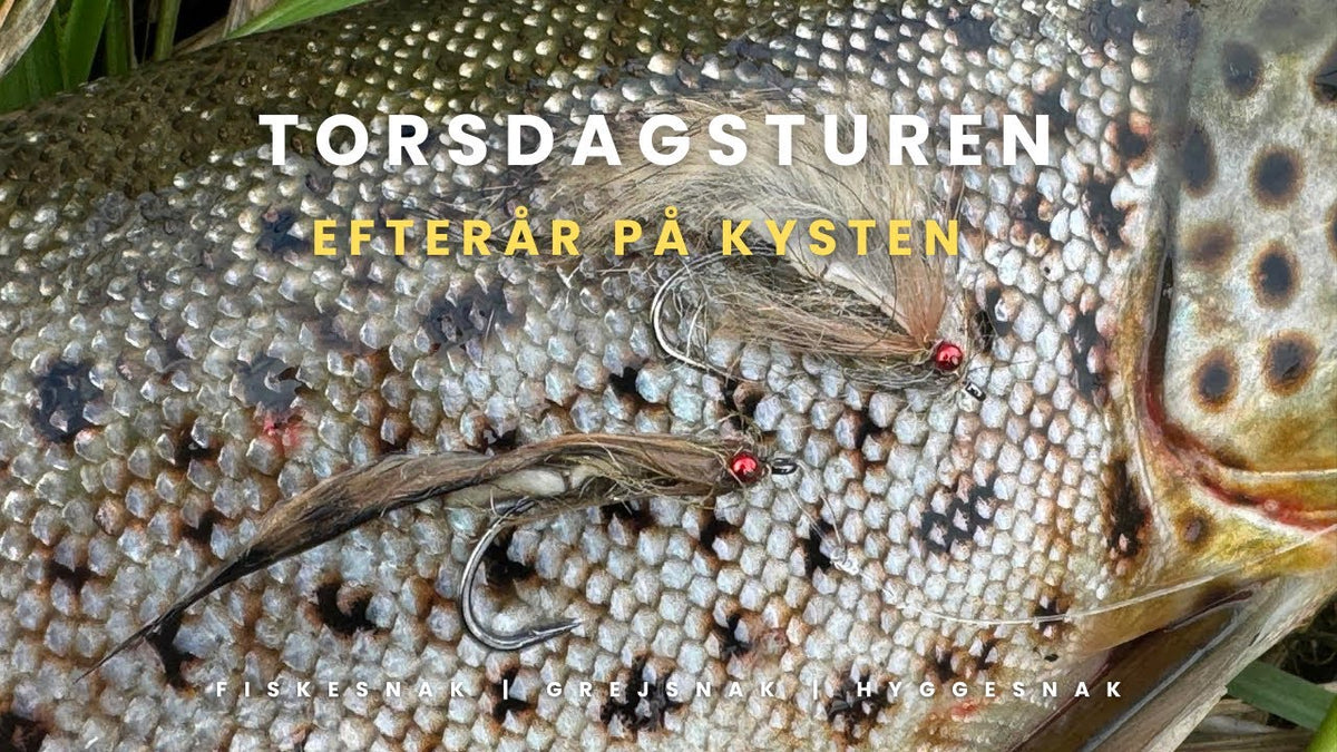 Torsdagsturen: Efterår ved fjorden med Den Skæve Kutling