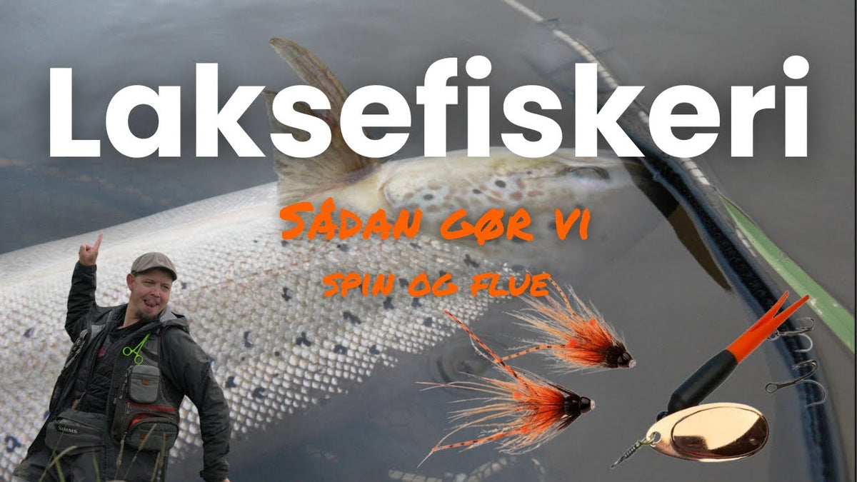 Fiskeguides: Spin og fluefiskeri efter laks – sådan gør vi