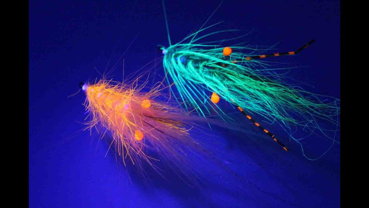 Fluebinding: Tanker om UV og fluorescens