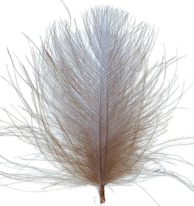 Swiss CDC Super Select