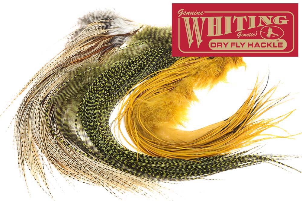 Nakker og sadler - Whiting Red label