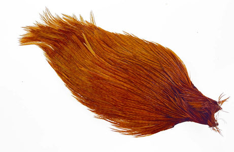 Du tilføjede <b><u>#1 Ewing Cape Weiß gefärbt Ingwer</u></b> til kurven.