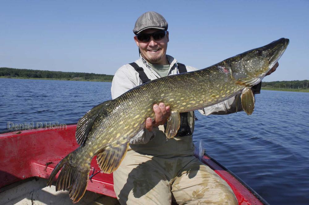 Pro Tube Pike 4,8 mm - Fl. Orange