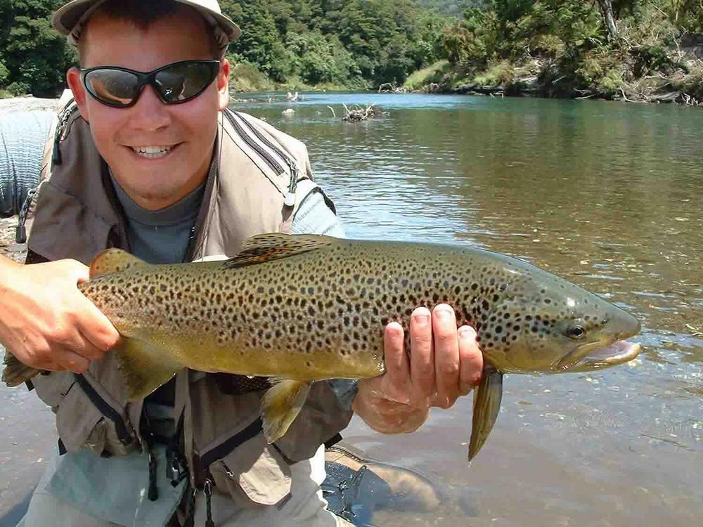 (Silver Grade) Whiting Hebert Miner Dryfly - Medium Ginger