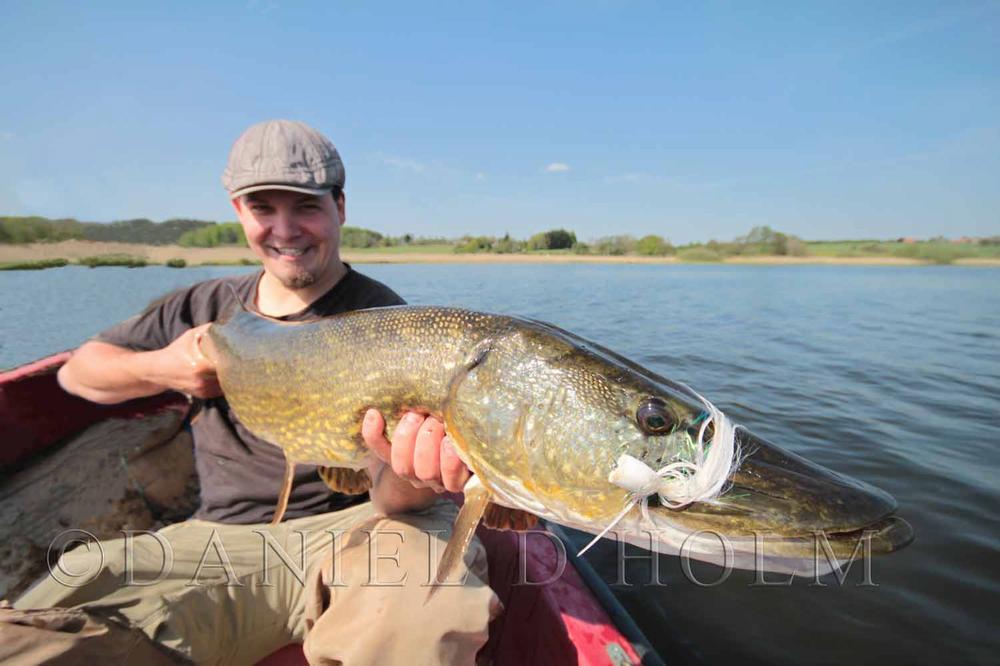 Double Barrel Popper - Greenish Yellow