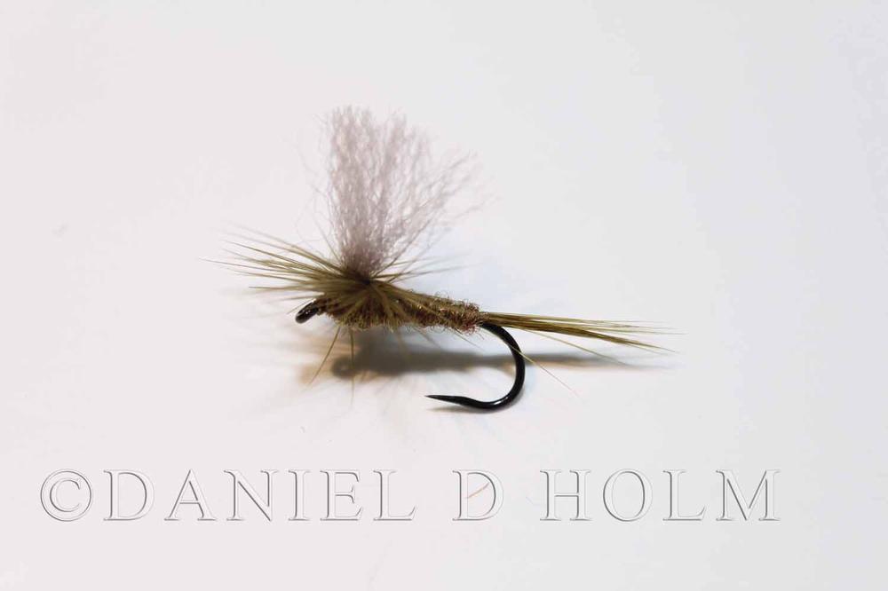 Fly-Rite - Cahill Tan (Nr 22)