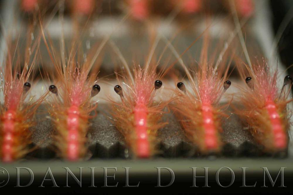 Whiting Coq de leon Cape - Badger Copper Olive