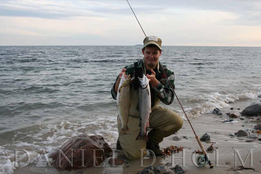 Whiting Coq de leon Cape - Badger Copper Olive