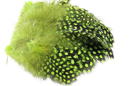 Du tilføjede <b><u>Perlhuhn - Chartreuse</u></b> til kurven.