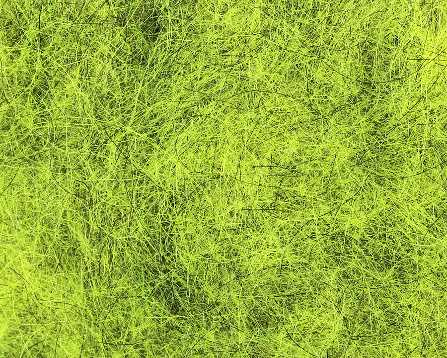 Nymphendub - Viele Farben