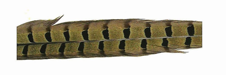 Du tilføjede <b><u>Fasanenschwanzfeder - Natur</u></b> til kurven.
