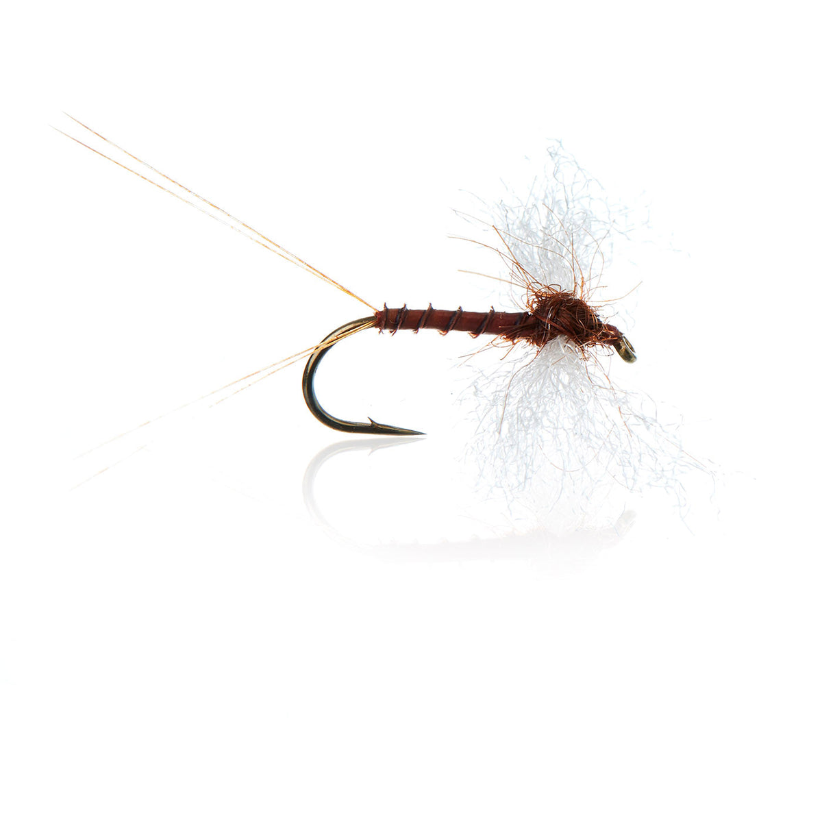 A.Jensen DRY FLIES & EMERGERS Nordic Collection 1 â€“ AJF_300308.jpg