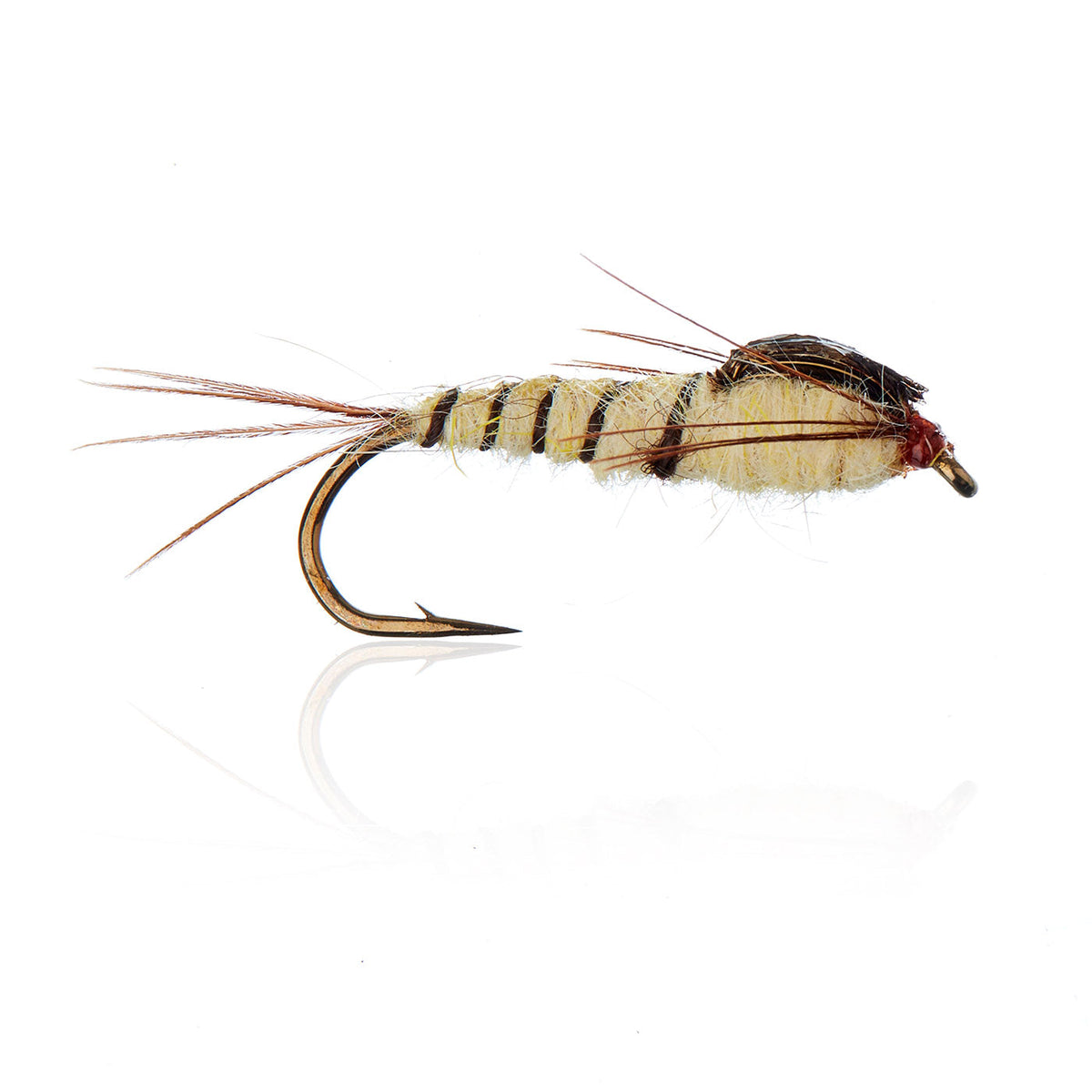 A.Jensen NYMPHS â€“ AJF_400104.jpg