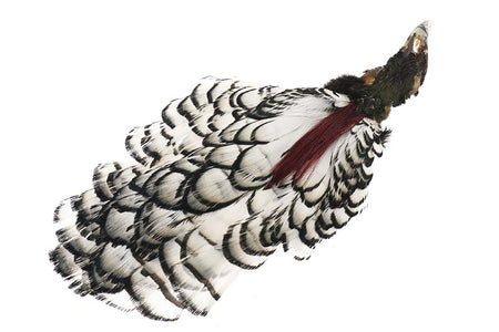 Du tilføjede <b><u>Amherst Fasanenkopf - Natur</u></b> til kurven.