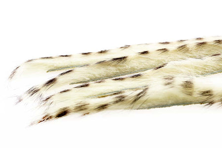 Du tilføjede <b><u>3 mm Kaninchenstreifen-Zonkerstripe – Creme</u></b> til kurven.