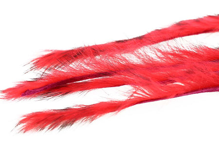 Du tilføjede <b><u>3 mm Kaninchenstreifen-Zonkerstripe - Fl. Ed</u></b> til kurven.
