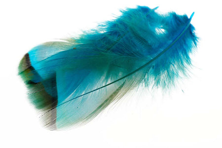 Du tilføjede <b><u>Französisches Rebhuhn - Eisvogel Blau</u></b> til kurven.
