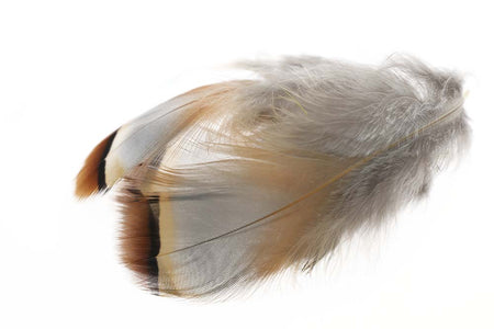 Du tilføjede <b><u>Französisches Rebhuhn - Natur</u></b> til kurven.