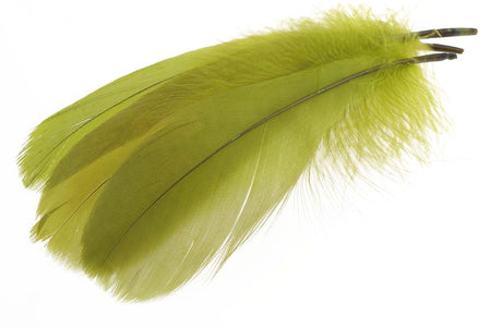 Du tilføjede <b><u>Schulterfedern der Gans – Oliv</u></b> til kurven.