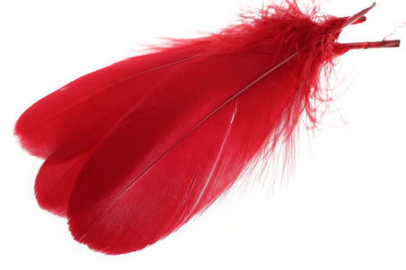 Du tilføjede <b><u>Schulterfeder der Gans - Rot</u></b> til kurven.