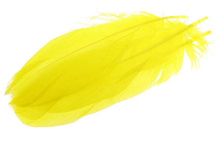 Du tilføjede <b><u>Schulterfedern der Gans - Gelb</u></b> til kurven.