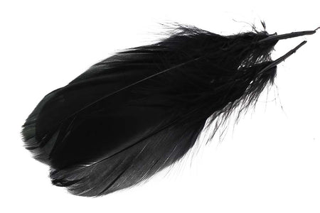 Du tilføjede <b><u>Schulterfeder der Gans - Schwarz</u></b> til kurven.