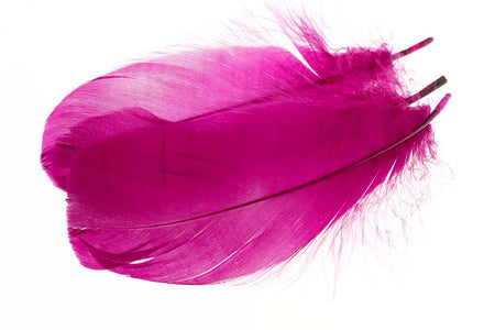 Du tilføjede <b><u>Gänseschulterfedern - Magenta</u></b> til kurven.