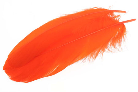Du tilføjede <b><u>Schulterfedern der Gans - Orange</u></b> til kurven.