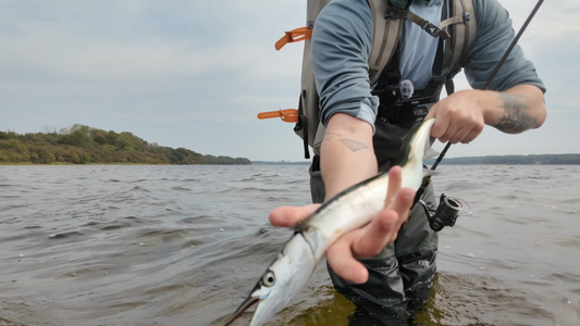 Du tilføjede <b><u>Hornfish-Paket – ein guter Start</u></b> til kurven.