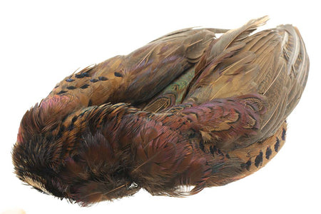 Du tilføjede <b><u>Ganzer Fasan ohne Kopf und Schwanz - Natur</u></b> til kurven.