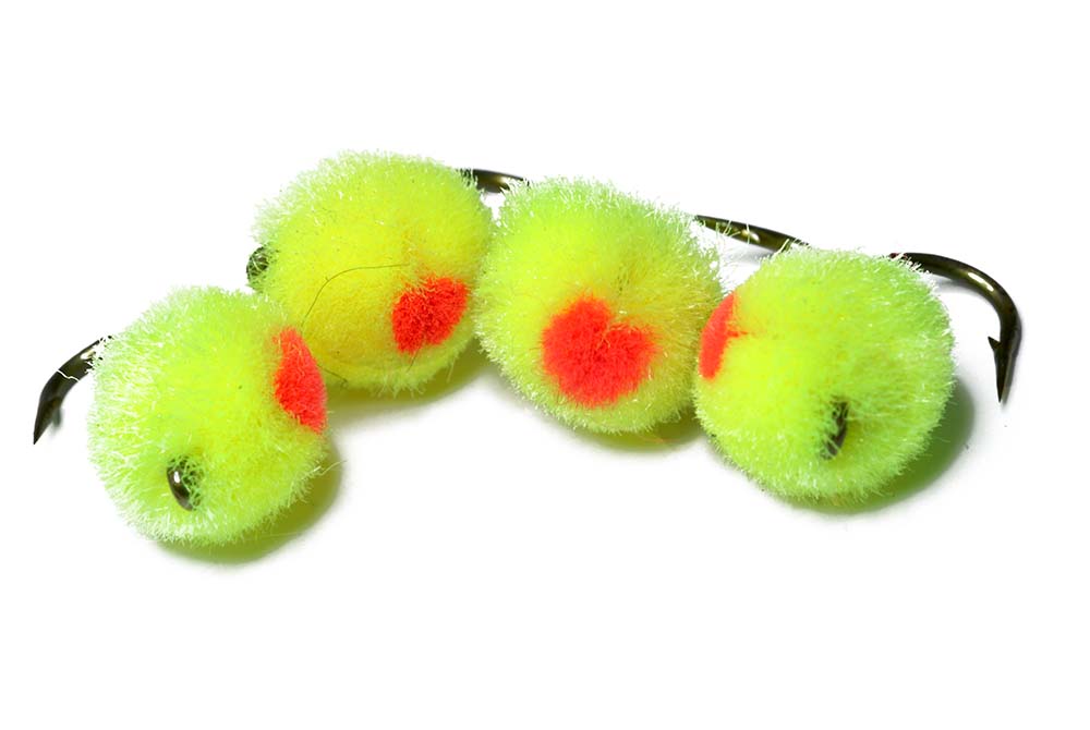 Egg fly