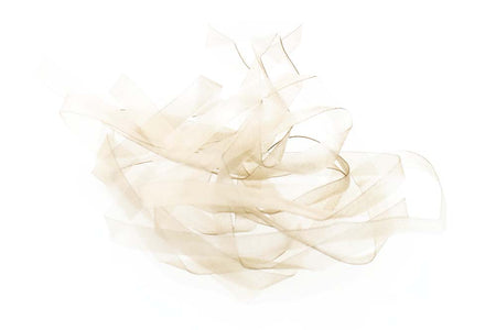 Du tilføjede <b><u>Körperdehnung - Bräune</u></b> til kurven.