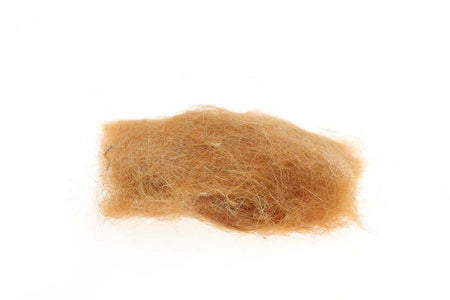 Du tilføjede <b><u>SLF-Eichhörnchen – Eichhörnchenbauch</u></b> til kurven.