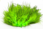 Fine Barred marabou - Fl. Chartreuse