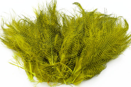 Du tilføjede <b><u>Feingebändertes Marabu - Olive</u></b> til kurven.