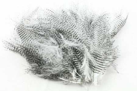 Du tilføjede <b><u>Feingebänderter Marabu – Weiß</u></b> til kurven.