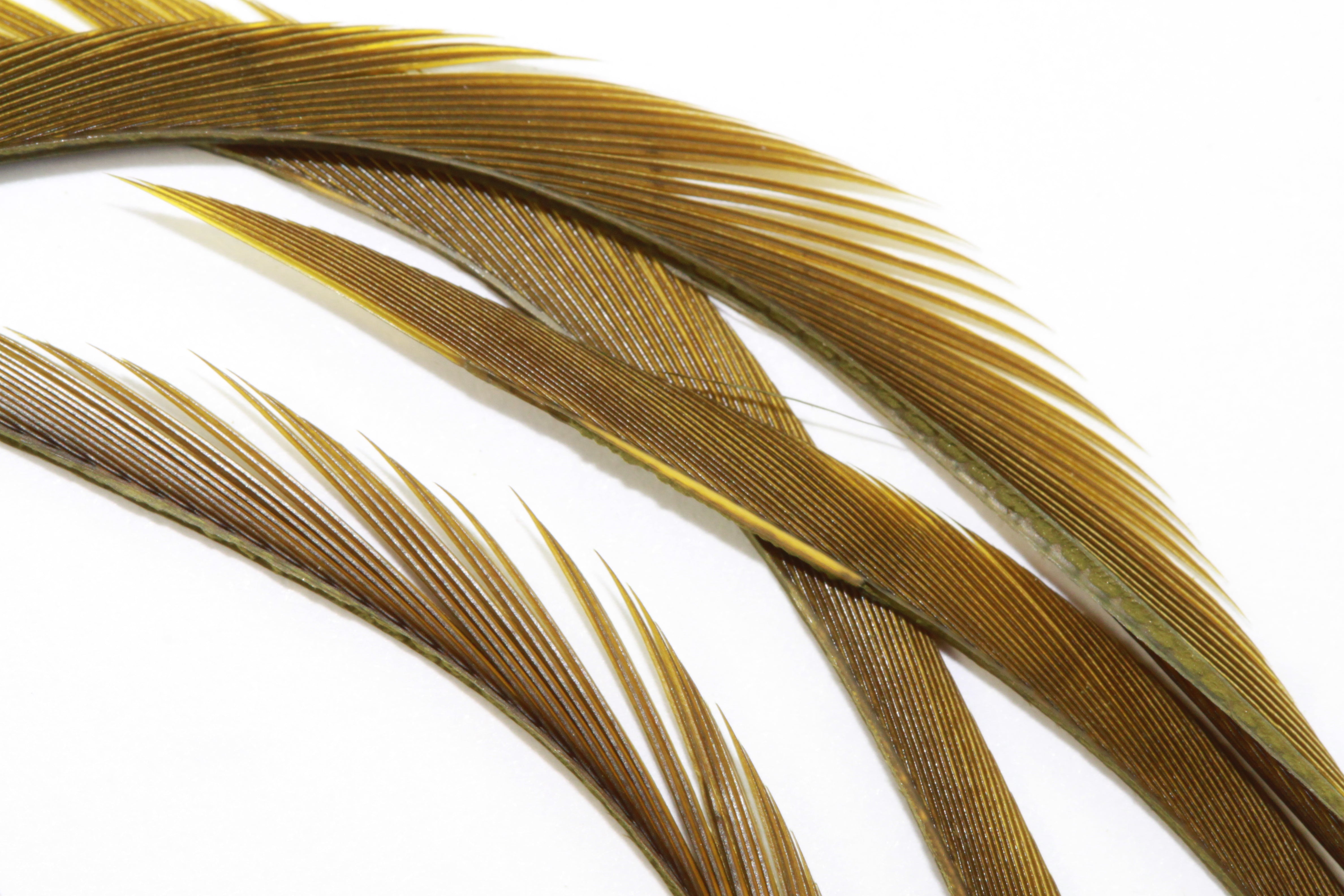 Goose Biots - Olive