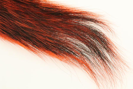 Du tilføjede <b><u>Silberspitzen-Eichhörnchenschwanz - Orange</u></b> til kurven.