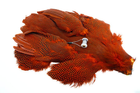 Du tilføjede <b><u>Whiting Perlhuhn, ganzer Vogel - Orange</u></b> til kurven.