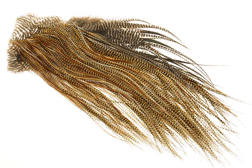 (Bronze-Qualität) Whiting Red Label Sattel - Cree