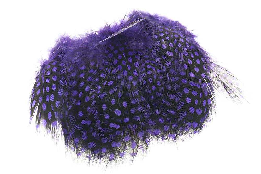Perlehøne - Purple