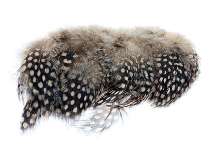 Du tilføjede <b><u>Perlhuhn - Hellbraun</u></b> til kurven.
