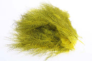 Fine Barred marabou - Yellow