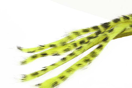 Du tilføjede <b><u>3 mm Kaninchenstreifen-Zonkerstripe - Blütengelb</u></b> til kurven.