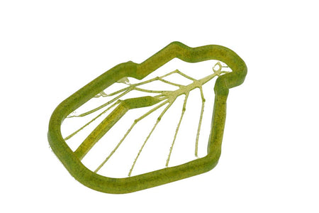 Du tilføjede <b><u>Einfache Garnelenbeine 2.0: Garnelenbeine – Transparent Dirty Olive</u></b> til kurven.