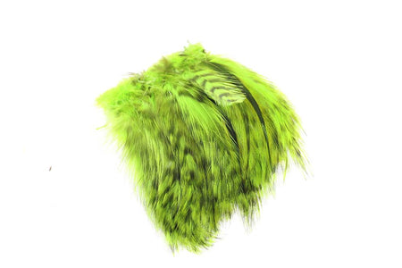 Du tilføjede <b><u>Hane Hackler Grizzly - Fl.Chartreuse</u></b> til kurven.