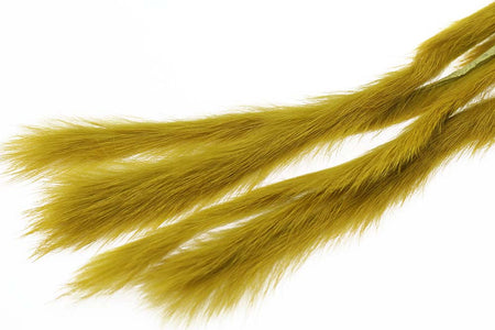 Du tilføjede <b><u>3 mm Rabbit Zonkerstrip - Goldoliv</u></b> til kurven.